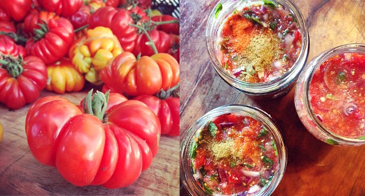 Pickled Tomato Relish Aka Fermented Pico De Gallo