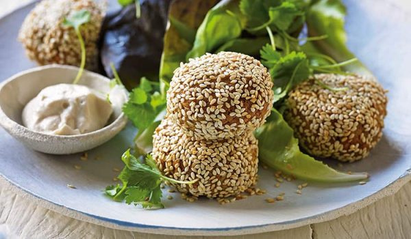 Sunflower Seed Falafel Balls with  Tahini Dipping Sauce