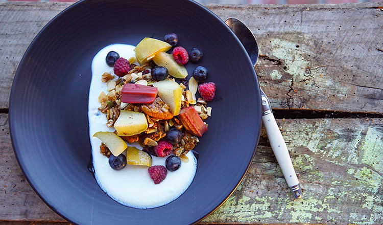 Toasted Granola & Yoghurt With Steamed Apples & Rhubarb