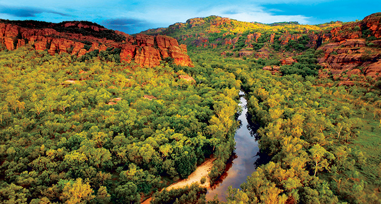 kakadu