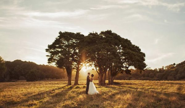 100 Best Wedding Photographers