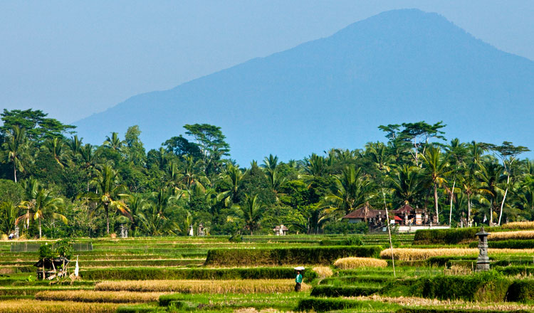 Escape to Ubud Bali