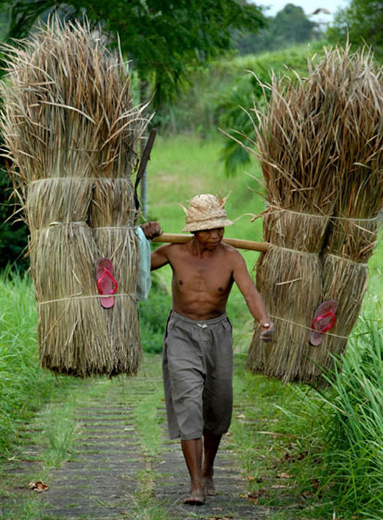 Escape to Ubud Bali