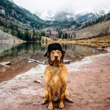 Aspen The Adventurer: Who Said Instagram Was Just For Humans?