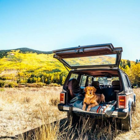 Aspen The Adventurer: Who Said Instagram Was Just For Humans?