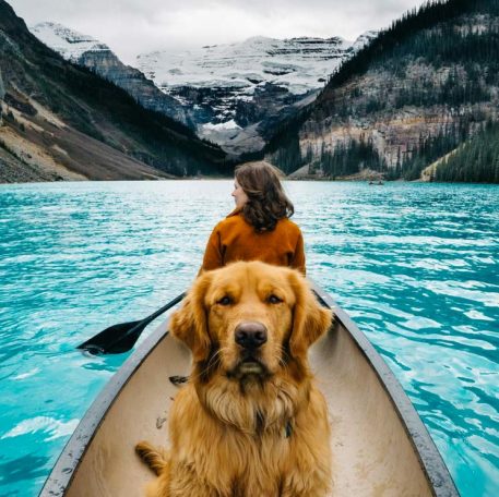 Aspen The Adventurer: Who Said Instagram Was Just For Humans?