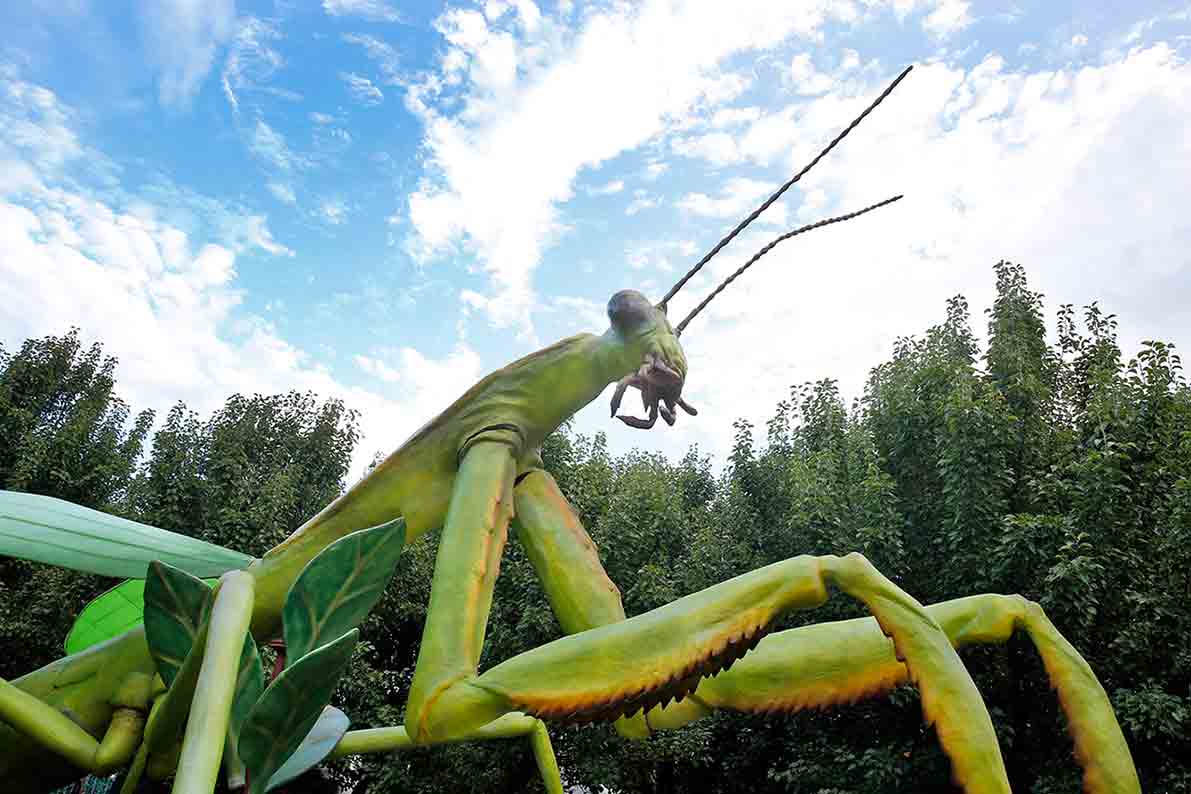 Family Adventures! Hunter Valley’s Mega Creatures & Christmas Lights Spectacular