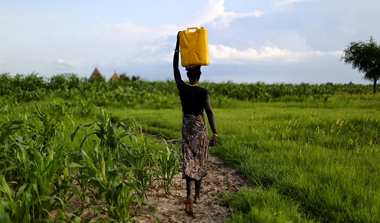 Ethiopian Woman collecting water