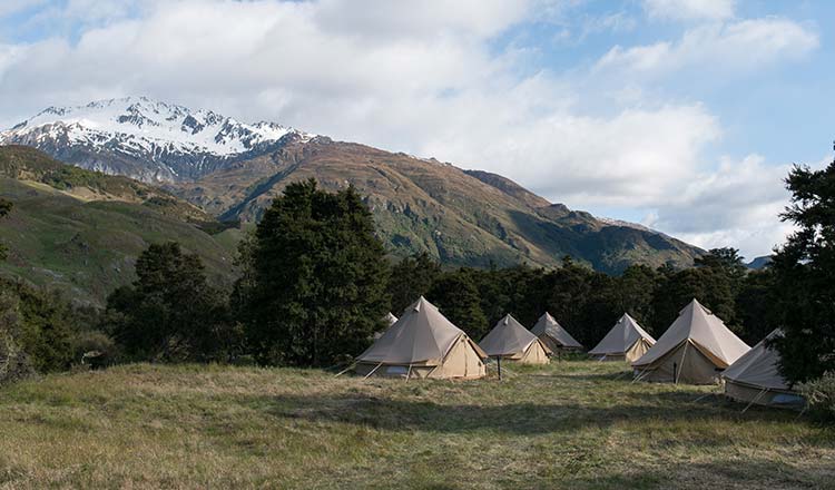 ford-tegan-lawson-travel-nz