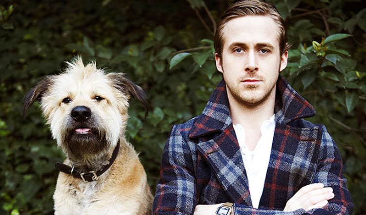 See Ryan Gosling Rescue Puppy From Dangerous Road1