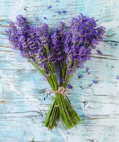 How To Optimise Your Sleep By Changing Your Bedroom - Lavender