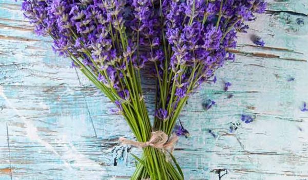 How To Optimise Your Sleep By Changing Your Bedroom - Lavender