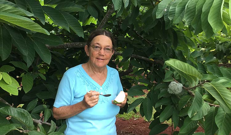 Custard apple grower Patti Stacey in her orchard at Dalwood in northern New South Wales