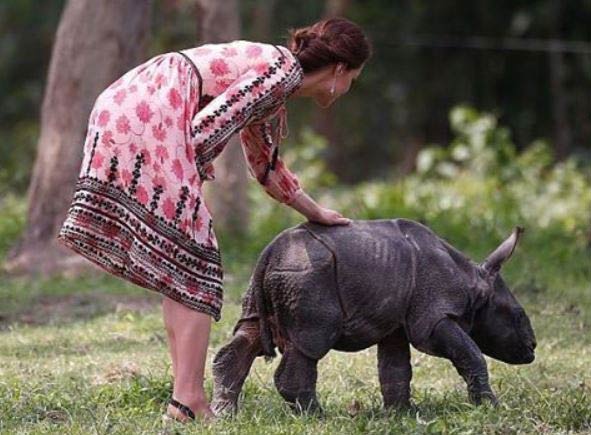 Kate And William Feed Orphaned Elephants And Rhinos4