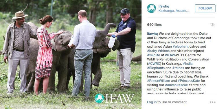 Kate And William Feed Orphaned Elephants And Rhinos3