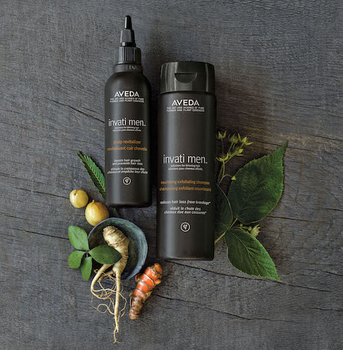 thinning hair aveda 