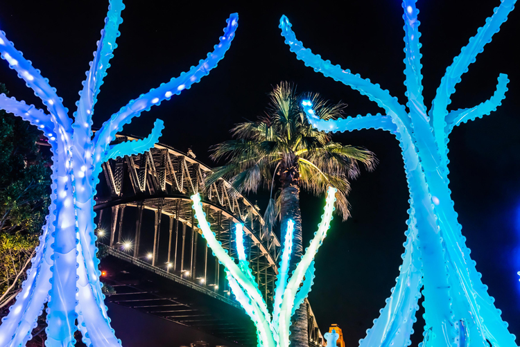 The Bridge shines under Vivid's lights