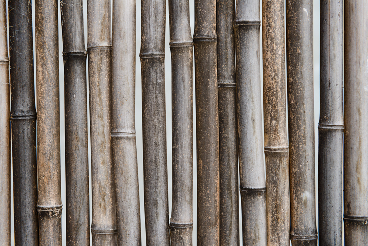 How To Take A 24 Hour Detox bamboo