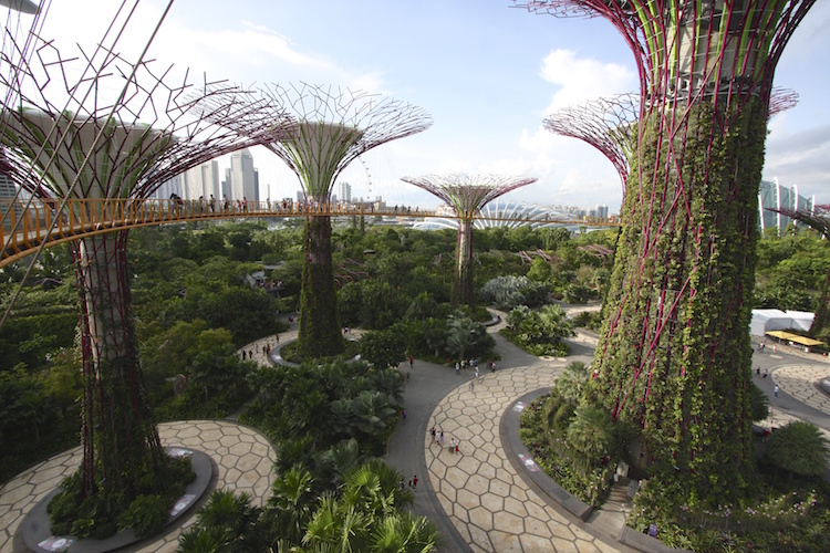 Singapore's spectacular Gardens by the Bay