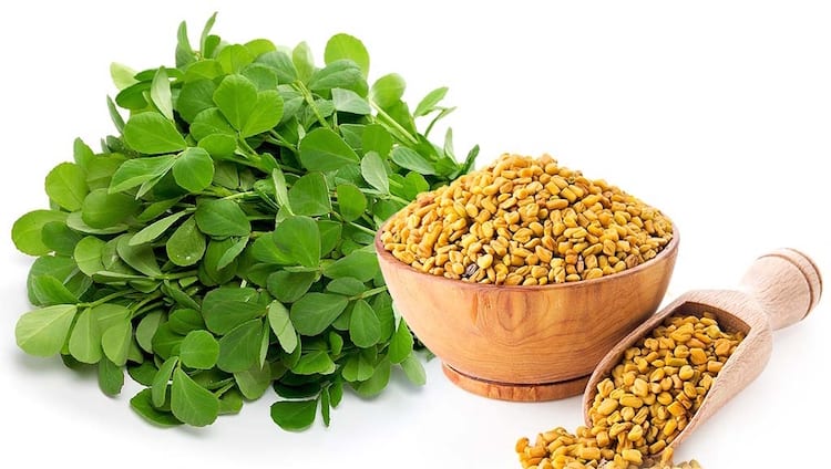 fenugreek