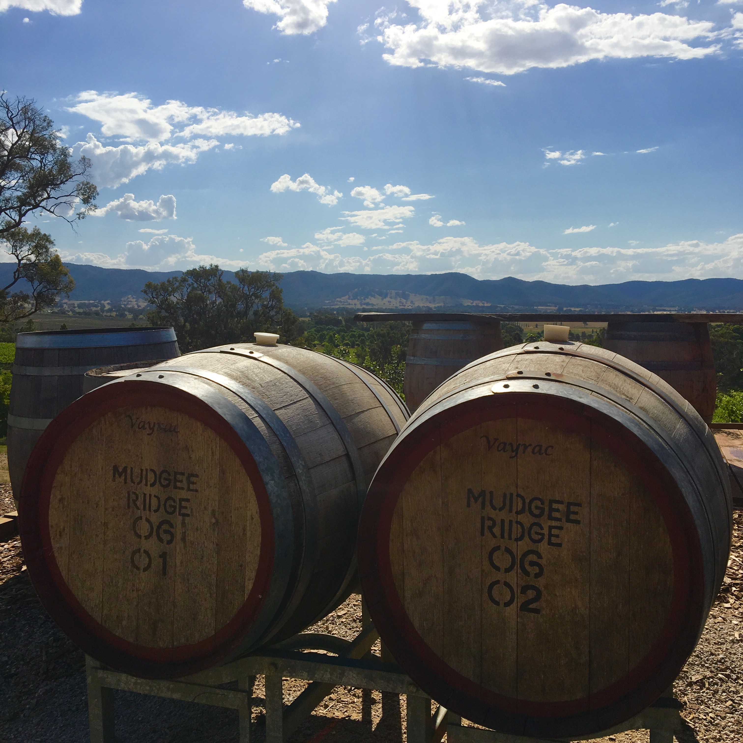 mudgee first ridge 