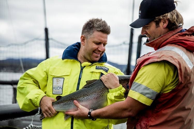 Massimo uses the best fish for his saffron recipe