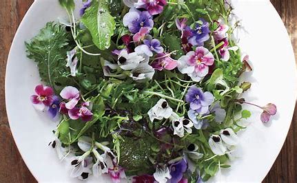 Cooking With Edible Flowers: Bougainvillea Switzel Recipe