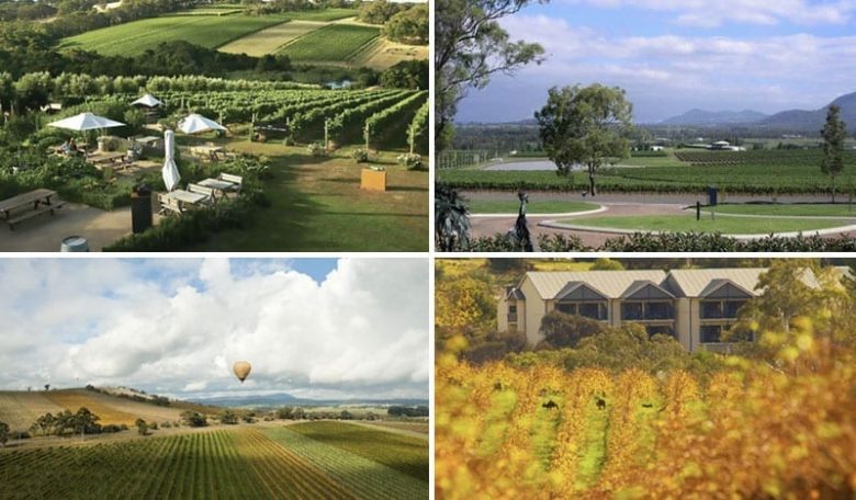 Visit Australia’s Top Wine Regions From the Hunter To Barossa Valley