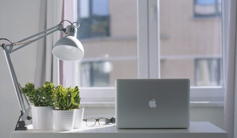 Set up your workplace with lights and plants