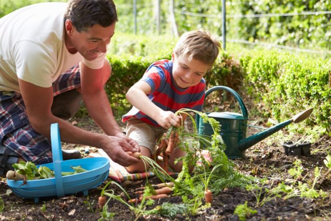 gardening, woolworths