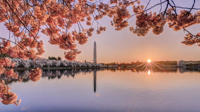 Lonely planet, travel, cities, Washington DC 