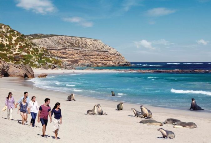 Kangaroo Island, Click Frenzy 