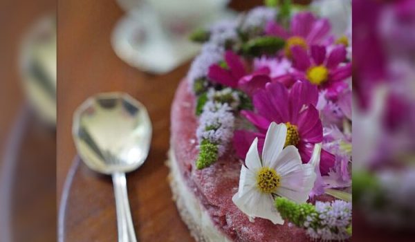 No Bake Cosmos And Strawberry Frozen Layer Cake Recipe