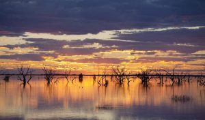 A competition to shot the best sunrise and sunset in NSW