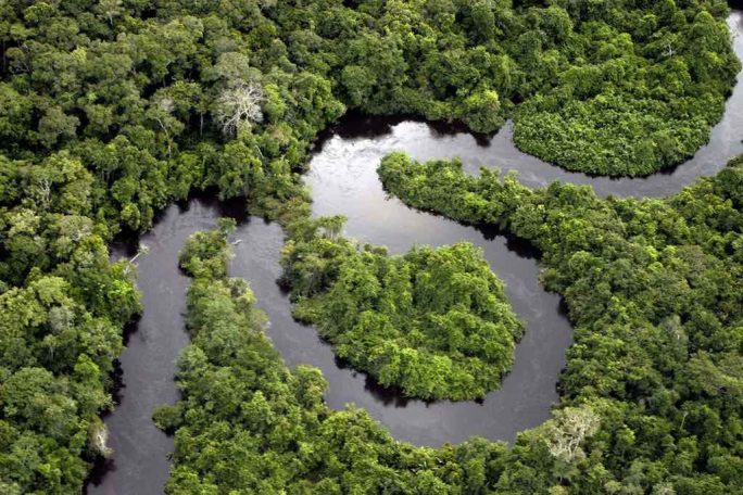 The Amazon River