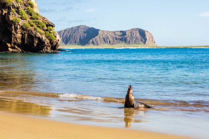 Galápagos Islands Ecuador