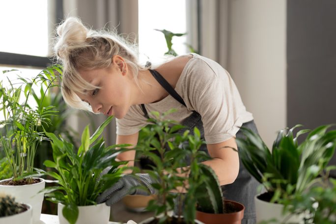 Indoor Garden