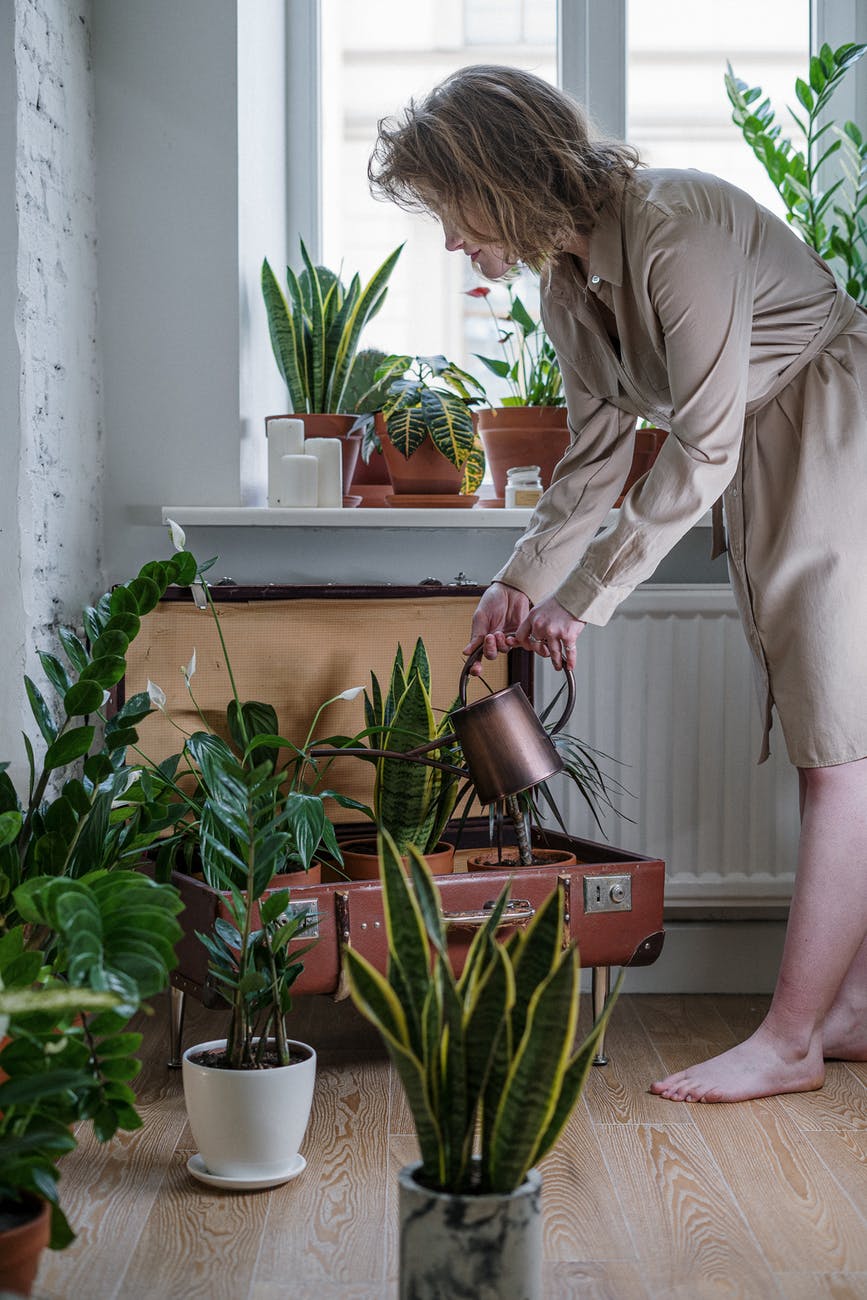 photo of woman watering her plants