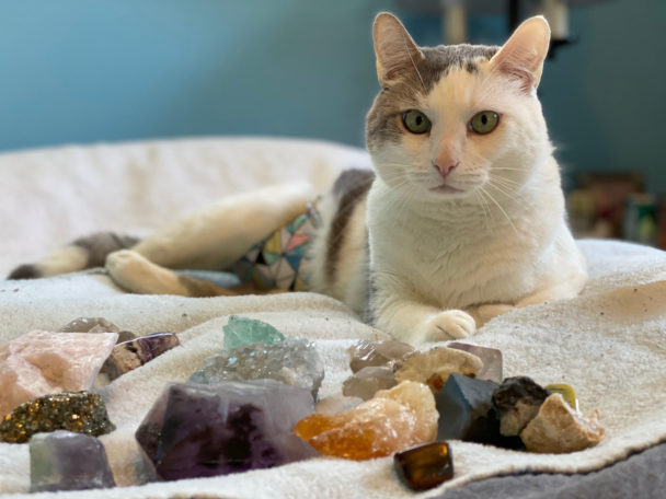 Crystal Healing For Pets