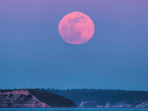 Pink Supermoon