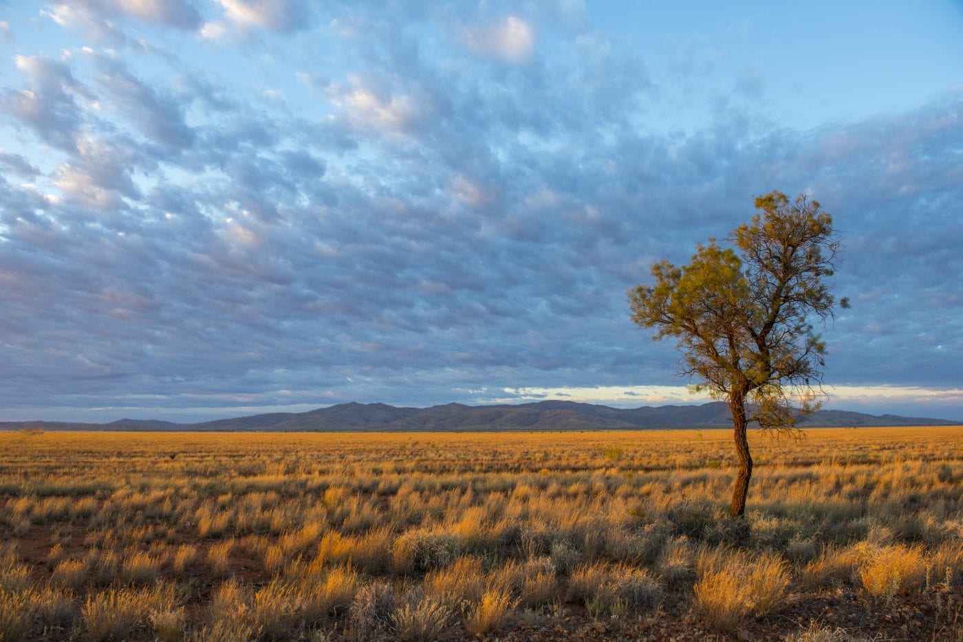 Australia 