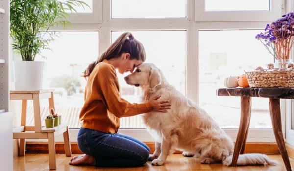 5 things your pet knows about you