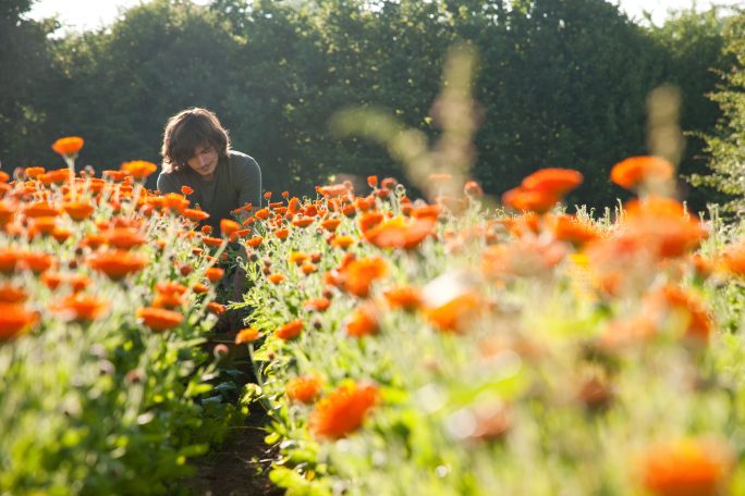 Weleda Biodynamic Gardens