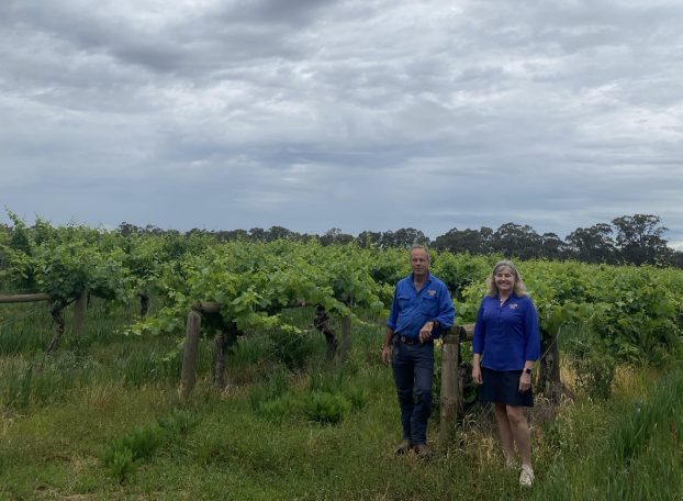 Michael and Belinda Chambers in the vineyards at Lake Moodemere Wines