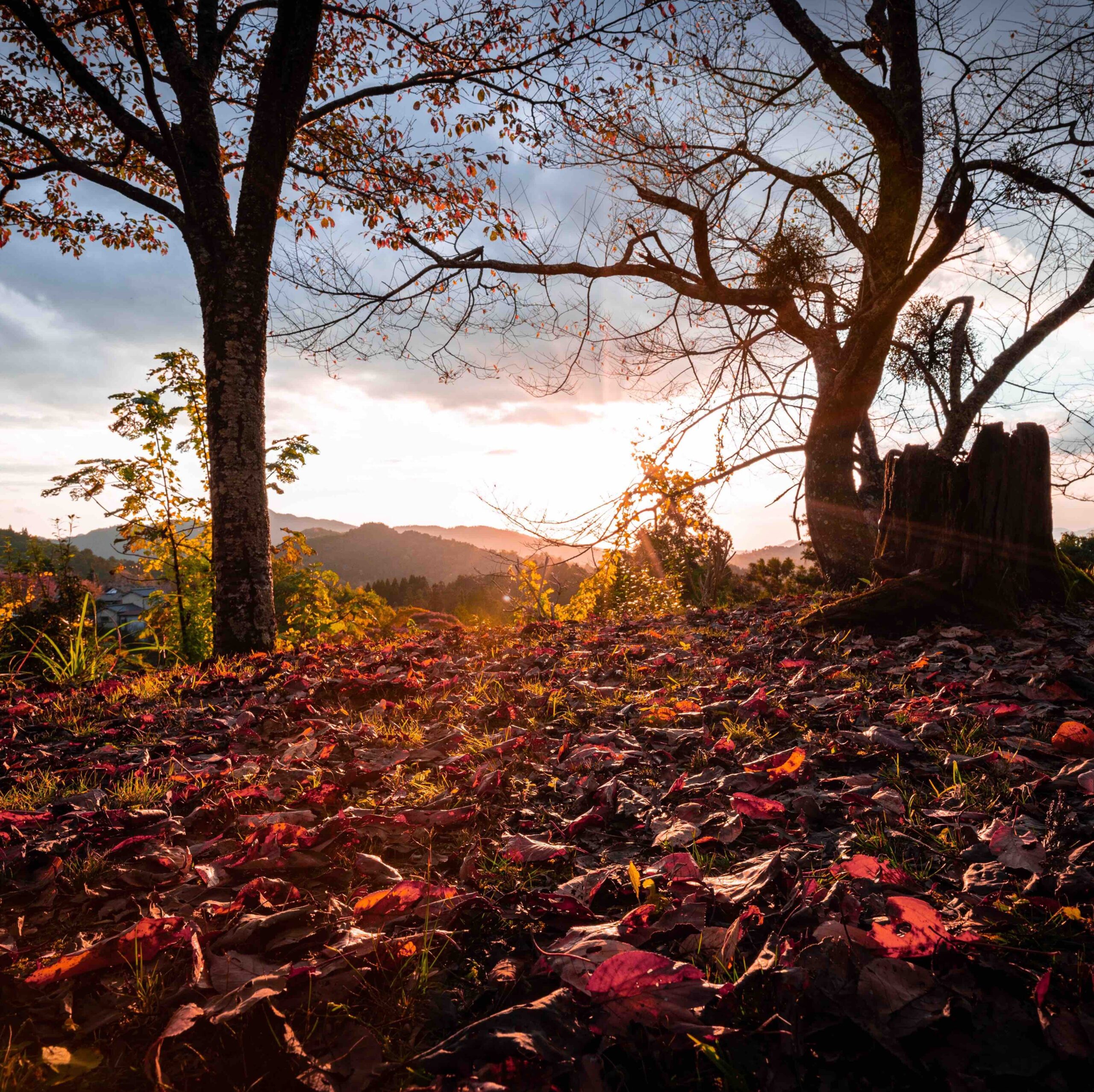 Mount Yoshino 