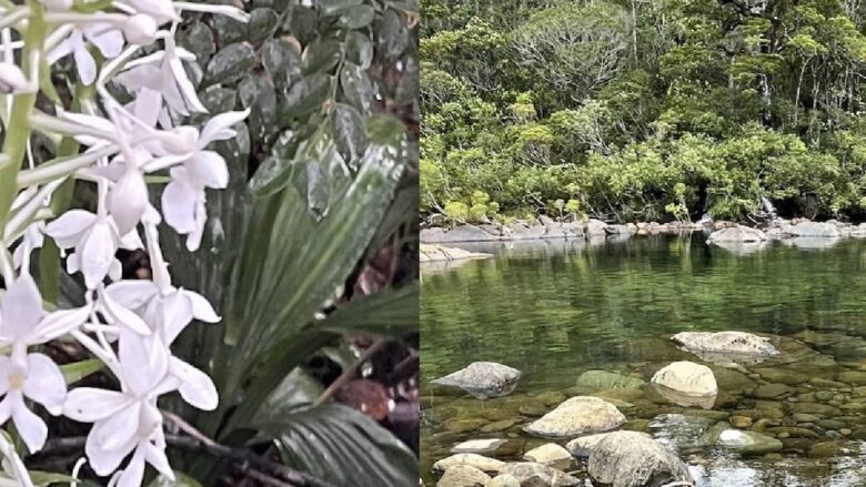 Blue RiverNational Park