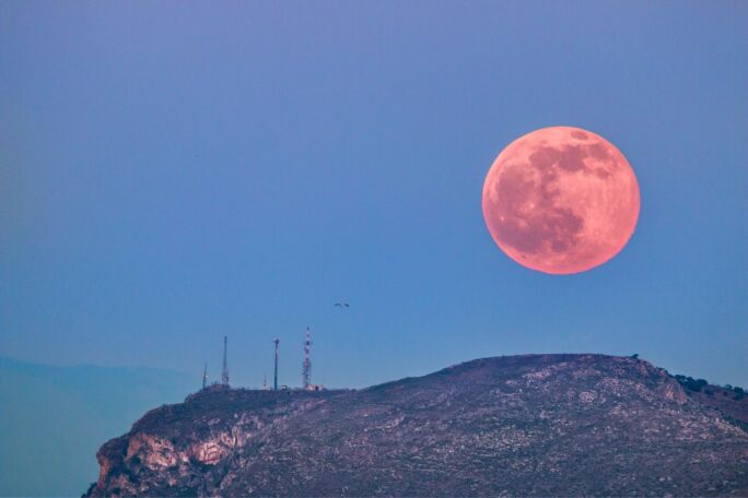 pink moon