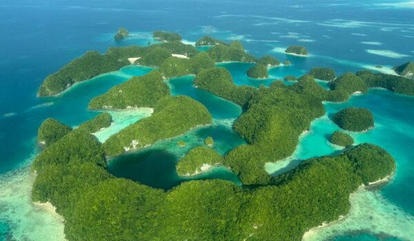 Guide to Travelling to Palau