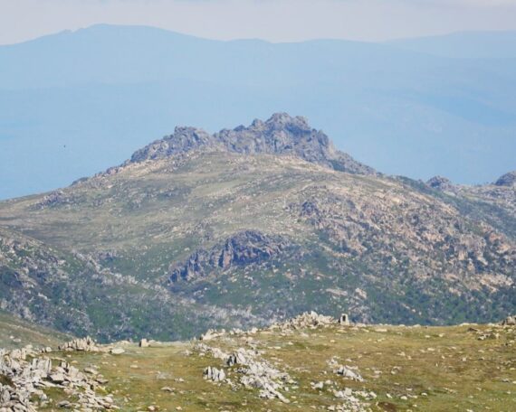 Great Australian Walks Mt Kosciusko